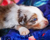 processed/acb65f3d-91a1-4654-bcb1-eb33791c3df2/listing/f1cf259d-78e0-4627-bf8c-a05cfd79673a/eb3c9a8b-fdd8-4a33-89ce-72e7ed7f4abb