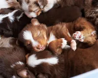 processed/acb65f3d-91a1-4654-bcb1-eb33791c3df2/listing/fd3a49cb-ef8d-4a11-91e0-f5232f37a229/0095a01f-7b23-4679-a5b3-36b30a0c04f3