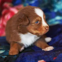 processed/acb65f3d-91a1-4654-bcb1-eb33791c3df2/listing/fd3a49cb-ef8d-4a11-91e0-f5232f37a229/06584ca0-38f8-458c-8a9c-28f3b4e206ca