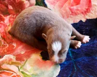 processed/acb65f3d-91a1-4654-bcb1-eb33791c3df2/listing/fd3a49cb-ef8d-4a11-91e0-f5232f37a229/192edd1f-d384-4a10-ae1b-8d8669544b69