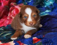 processed/acb65f3d-91a1-4654-bcb1-eb33791c3df2/listing/fd3a49cb-ef8d-4a11-91e0-f5232f37a229/38e6004e-360a-42ea-a7b6-1198af965049