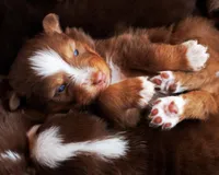 processed/acb65f3d-91a1-4654-bcb1-eb33791c3df2/listing/fd3a49cb-ef8d-4a11-91e0-f5232f37a229/6d4ac913-adf1-4700-b961-e471d28d0a60