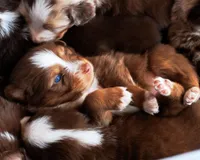 processed/acb65f3d-91a1-4654-bcb1-eb33791c3df2/listing/fd3a49cb-ef8d-4a11-91e0-f5232f37a229/c2413863-2c13-4bfe-89c3-3b078b07303b