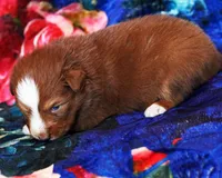 processed/acb65f3d-91a1-4654-bcb1-eb33791c3df2/listing/fd3a49cb-ef8d-4a11-91e0-f5232f37a229/e6e30edc-c469-4da7-ad6c-9e53d0a85e69