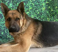 processed/acb7391d-8ac4-4cf9-94ff-7d5ad5609151/facility/092d32b8-12eb-41a9-b5b7-535b7da7c579