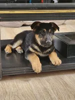 processed/acb7391d-8ac4-4cf9-94ff-7d5ad5609151/facility/0cc9ed2e-b0a6-447c-81b6-22eede5545f7