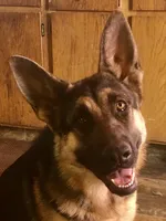 processed/acb7391d-8ac4-4cf9-94ff-7d5ad5609151/facility/1e383a43-f757-4baf-8921-05024dc2aff5