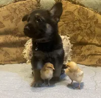 processed/acb7391d-8ac4-4cf9-94ff-7d5ad5609151/facility/3a082255-d4ca-4073-9603-1a6097717866