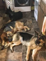 processed/acb7391d-8ac4-4cf9-94ff-7d5ad5609151/facility/7e76bea0-2635-4a99-894f-3e10e8f2ebd5