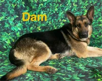 processed/acb7391d-8ac4-4cf9-94ff-7d5ad5609151/facility/c91cc0b1-8a17-4215-9fd6-9661d3820dea