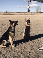 processed/acb7391d-8ac4-4cf9-94ff-7d5ad5609151/facility/db631c51-5958-41a9-aa40-e07104baac15