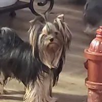 processed/acc72922-a88e-4186-80e5-180fc33bd75f/facility/09980375-5ffd-4388-98c7-c735c269a29c