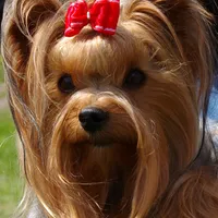 processed/acc72922-a88e-4186-80e5-180fc33bd75f/facility/44654936-85b6-47f7-a41f-3c4857e38007