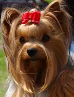 processed/acc72922-a88e-4186-80e5-180fc33bd75f/facility/44654936-85b6-47f7-a41f-3c4857e38007