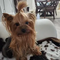 processed/acc72922-a88e-4186-80e5-180fc33bd75f/facility/5394d6be-420f-450f-b7a9-d869cb2f16f2