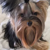 processed/acc72922-a88e-4186-80e5-180fc33bd75f/facility/609bd884-6414-45fe-b0d9-7d72193aa474