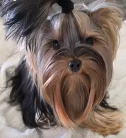 processed/acc72922-a88e-4186-80e5-180fc33bd75f/facility/609bd884-6414-45fe-b0d9-7d72193aa474