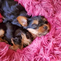 processed/acc72922-a88e-4186-80e5-180fc33bd75f/facility/e4590d3a-e4ca-4648-82f7-bfdb26776f31