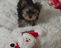 processed/acc72922-a88e-4186-80e5-180fc33bd75f/listing/208c7480-7906-4c34-b246-82f016cc3962/03e3b01b-158c-4511-a131-7d48462c4030