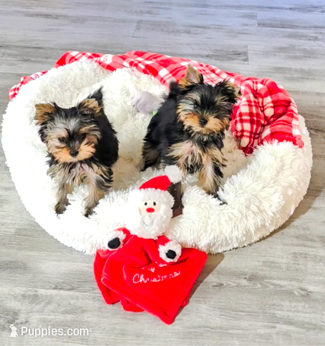 processed/acc72922-a88e-4186-80e5-180fc33bd75f/listing/208c7480-7906-4c34-b246-82f016cc3962/32ed5a12-f6e9-49c9-8b8e-766a92cb9ad3