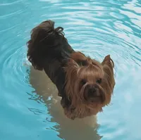 processed/acc72922-a88e-4186-80e5-180fc33bd75f/listing/208c7480-7906-4c34-b246-82f016cc3962/3fb474e2-3d95-4b8d-b16d-8423136e391c