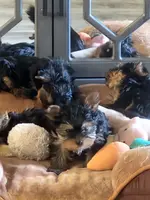 processed/acc72922-a88e-4186-80e5-180fc33bd75f/listing/208c7480-7906-4c34-b246-82f016cc3962/86904f65-bf09-484f-857b-ed5c032921c0