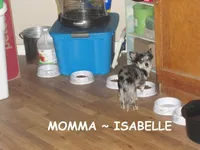 processed/acd08b83-210d-45b0-9b23-96eb0af99e22/facility/00f32810-843a-4892-999f-ac564536b6db