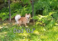 processed/acd08b83-210d-45b0-9b23-96eb0af99e22/facility/15bfcb81-2686-4d65-90ca-7dffde2c073a