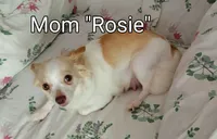 processed/acd08b83-210d-45b0-9b23-96eb0af99e22/facility/4982035b-51ef-42ce-b73b-62b69eb56436