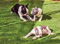 processed/ace4bba5-1331-4588-a516-5a9d887c0d46/facility/75011d87-fc75-4147-9b7e-fa8a1b04344d