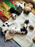 processed/ace4bba5-1331-4588-a516-5a9d887c0d46/facility/98d62b9d-3350-43ba-b4f7-f3448b5c5c9d