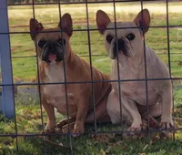 processed/ace4bba5-1331-4588-a516-5a9d887c0d46/facility/cafe270c-c389-4656-82da-5ecccabff342