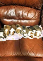 processed/ace4bba5-1331-4588-a516-5a9d887c0d46/facility/e7836368-291a-4f0f-b318-5fb3a99f141f