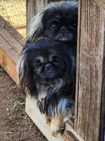 processed/ace4bba5-1331-4588-a516-5a9d887c0d46/facility/eeb67275-97af-41bc-a1bd-4e7e18720711