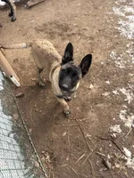 processed/acecf770-8f3e-4dd6-a394-61b804ce6de2/listing/800166e3-3846-484d-a03d-105687895024/e29a3622-d632-4763-a90c-b2b5df2246b6