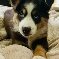 processed/ad0f2f10-d023-4813-bb9f-4228852ed467/facility/02d08869-550f-4b8e-9486-3b2a445fbebd