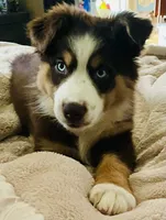 processed/ad0f2f10-d023-4813-bb9f-4228852ed467/facility/02d08869-550f-4b8e-9486-3b2a445fbebd