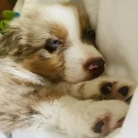 processed/ad0f2f10-d023-4813-bb9f-4228852ed467/facility/0ae9f083-c047-4a29-93a7-764c18669b21