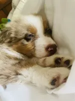 processed/ad0f2f10-d023-4813-bb9f-4228852ed467/facility/0ae9f083-c047-4a29-93a7-764c18669b21