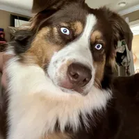 processed/ad0f2f10-d023-4813-bb9f-4228852ed467/facility/59ff42dd-4cf5-4f5f-a3ac-b09dde66297e