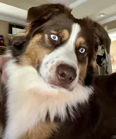 processed/ad0f2f10-d023-4813-bb9f-4228852ed467/facility/59ff42dd-4cf5-4f5f-a3ac-b09dde66297e