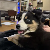 processed/ad0f2f10-d023-4813-bb9f-4228852ed467/facility/80d6a44a-a752-4d09-b3f6-ed7a0be70871