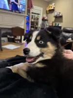 processed/ad0f2f10-d023-4813-bb9f-4228852ed467/facility/80d6a44a-a752-4d09-b3f6-ed7a0be70871