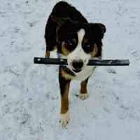 processed/ad0f2f10-d023-4813-bb9f-4228852ed467/facility/a7970352-d73c-47c7-aff7-9dc6730e6eba