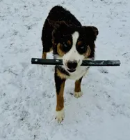 processed/ad0f2f10-d023-4813-bb9f-4228852ed467/facility/a7970352-d73c-47c7-aff7-9dc6730e6eba