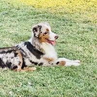 processed/ad0f2f10-d023-4813-bb9f-4228852ed467/facility/c5aa5372-1167-4fed-bdf7-6d40c6f7f8e5