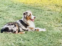 processed/ad0f2f10-d023-4813-bb9f-4228852ed467/facility/c5aa5372-1167-4fed-bdf7-6d40c6f7f8e5