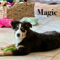 processed/ad0f2f10-d023-4813-bb9f-4228852ed467/facility/c8b143a5-76f2-4325-a044-825830e5c19f