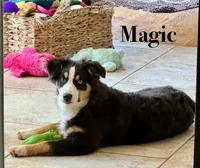 processed/ad0f2f10-d023-4813-bb9f-4228852ed467/facility/c8b143a5-76f2-4325-a044-825830e5c19f