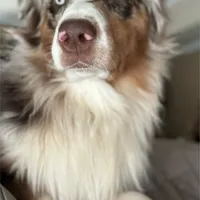 processed/ad0f2f10-d023-4813-bb9f-4228852ed467/facility/e1141fbd-b80e-4cde-aa99-a3e6f53808af